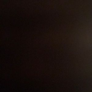 Meet your Posher, Deedee